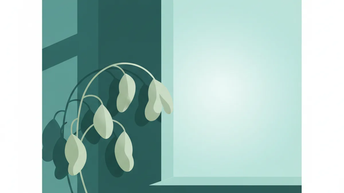 Illustration: The Signs Your Body Isn't Getting Enough