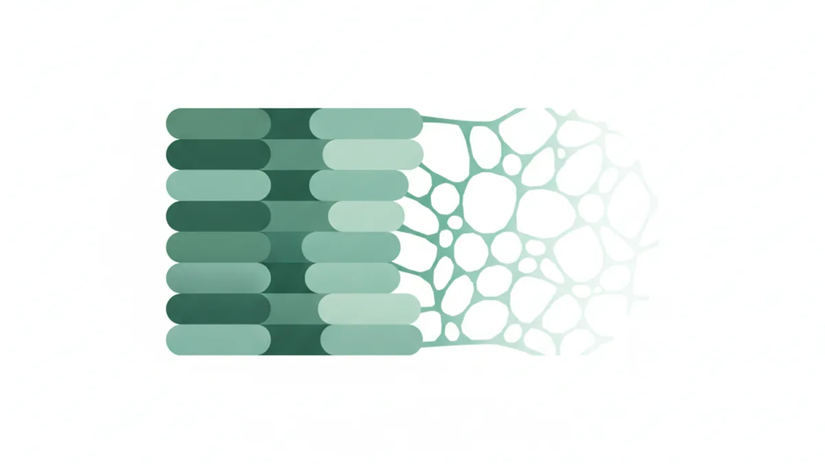 Illustration: Why Your Bones Are Losing Density (And How to Know)
