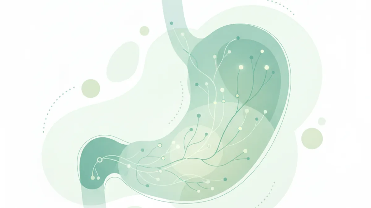 Illustration: When "Functional" Doesn't Mean "Fake"
