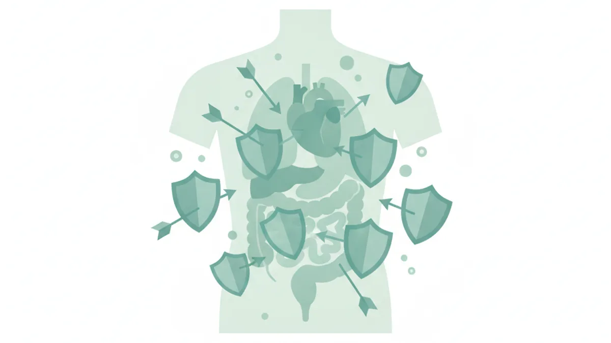 Illustration: Why Does Lupus Happen?
